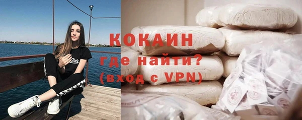 молекула духа Осинники
