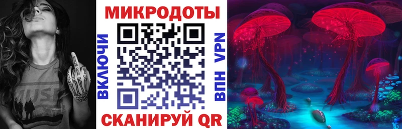 Галлюциногенные грибы Cubensis  где купить наркотик  Белово 